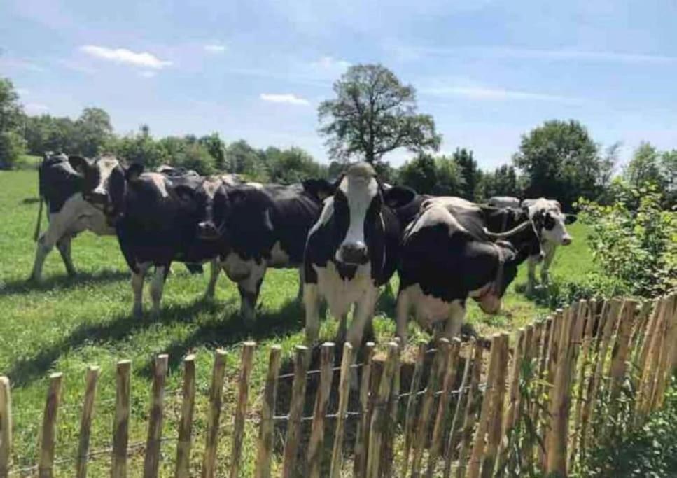 Statige Boerderijwoning Met Vrij Uitzicht En Tuin Villa Hoogzand ภายนอก รูปภาพ